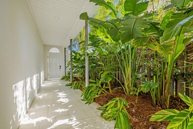 Lush tropical landscaping
