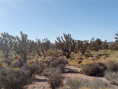 Natural Beauty of the Desert, looking from street