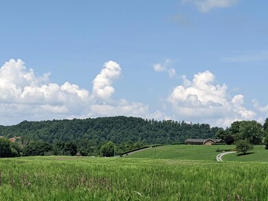 PXL_20240806_165124871