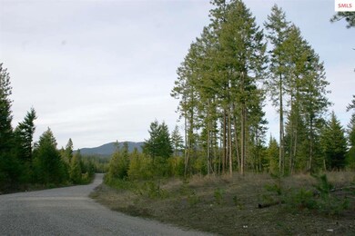 NNK B6 Northern Sky Rd, Athol, ID 83801 - photo 5