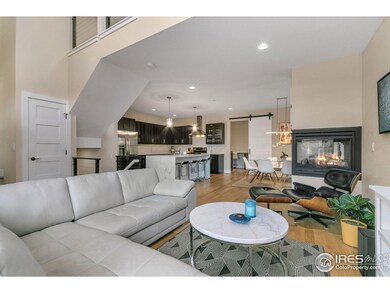 403 Osiander St, Fort Collins, CO 80524 - photo 6