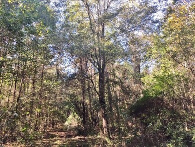 000 Candy Ln, McComb, MS 39648 - photo 5