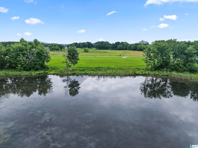 242 Lokey Dr, Wilsonville, AL 35186 - photo 2