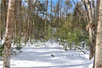 L96 Highview Ln unit Lot 12, Wevertown, NY 12886 - photo 6