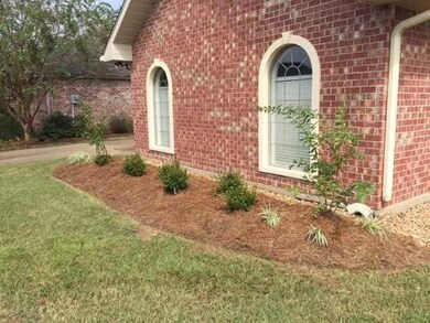 Exterior Front. NEW LANDSCAPING