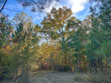 0 Jordon Rd unit 25580264, Waverly Hall, GA 31831 - photo 7