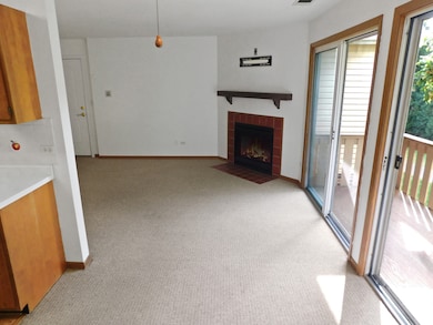 546 N Deer Run Dr unit 546, Palatine, IL 60067 - photo 7