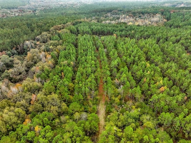 7 Lot E County Road 682, Coffee Springs, AL 36318 - photo 3