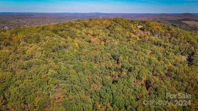 2274 Sierra Trace Rd unit 44, Denton, NC 27239 - photo 6