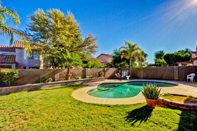 Private Pool/ Backyard