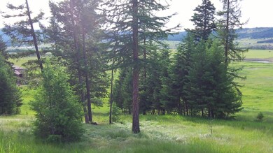 246 Bison Cir, Kalispell, MT 59901 - photo 5