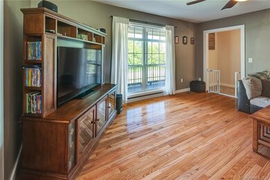 207 Martin Branch Rd, Leicester, NC 28748 - photo 4