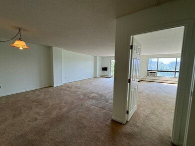 Horizon East unit 310, Watertown, MA 02472 - photo 5