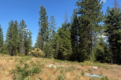 34711 N Waldrons Ln unit 49311.9012, Chattaroy, WA 99003 - photo 3