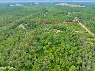 6715 Canetuck Rd, Currie, NC 28435 - photo 7