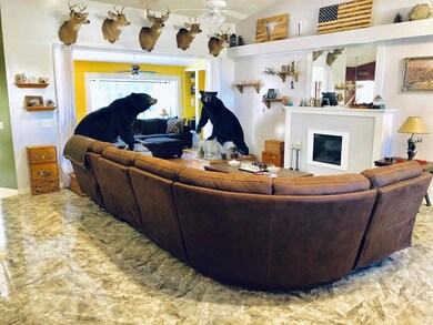 abner family room