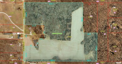 0000 N Dartmouth Ln, Mount Vernon, IL 62864 - photo 3