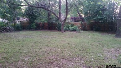 3321 S Donnybrook Ave, Tyler, TX 75701 - photo 3