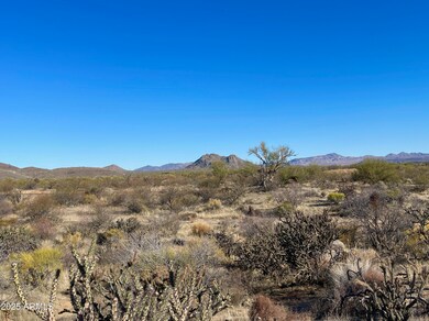 27003 N 134th St, Scottsdale, AZ 85259 - photo 4