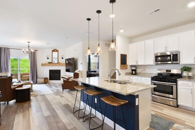 24956 E Calhoun Place unit A, Aurora, CO 80016 - photo 5