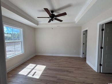 Spare room with light wood finished floors, a tray ceiling, a ceiling fan, and ornamental molding