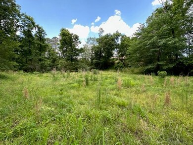 92 County Road 1032, Oxford, MS 38655 - photo 4