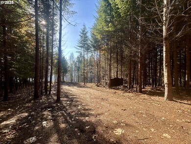 9562 Cook-Underwood Rd, Underwood, WA 98651 - photo 4