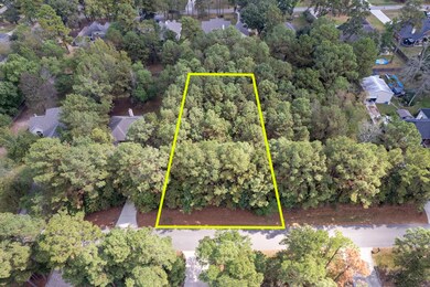 34202 Conroe Huffsmith Rd, Magnolia, TX 77354 - photo 7