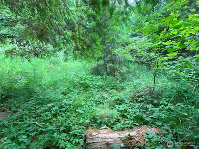 0 Bunker Creek Rd unit NWM2433960, Adna, WA 98522 - photo 6