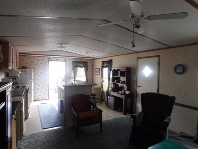 1005 Lewis St, Tignall, GA 30668 - photo 3