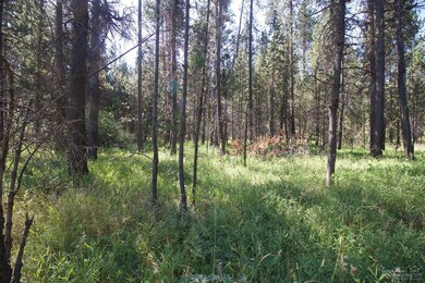 16845 Hermosa Dr, Bend, OR 97707 - photo 3