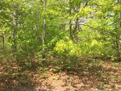 29 Bea Ln, West Tisbury, MA 02575 - photo 4