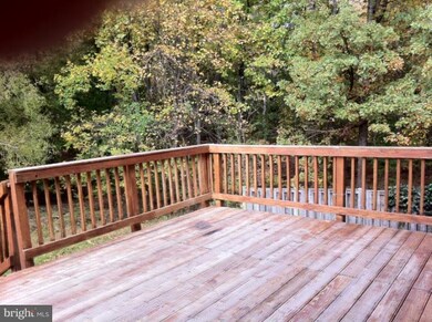 8030 Brightfield Rd, Ellicott City, MD 21043 - photo 5