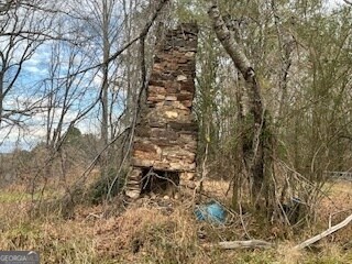 0 Julius Bridge Rd unit 10656513, Ball Ground, GA 30107 - photo 3