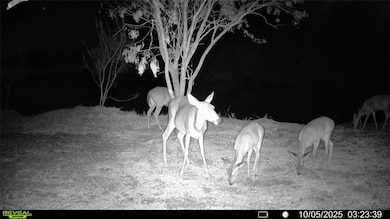 0 County Road 215, McCoy, TX 78113 - photo 6