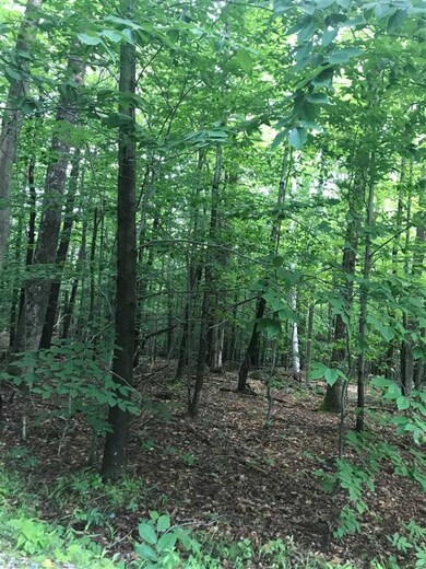 0 Sleeper Rd unit 4863849, Hillsboro, NH 03244 - photo 6