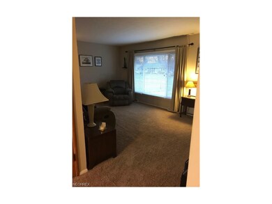Living room; large window with natural lighting!