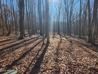 0 Fitzgerald Rd unit LOT 1 WB-96231, Dushore, PA 18614 - photo 6