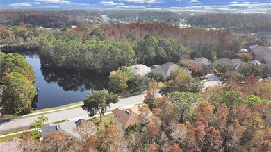 561 Lakewood Dr, Oldsmar, FL 34677 - photo 7