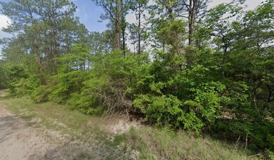 Tallowood Dr, Brookeland, TX 75931 - photo 7