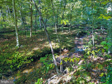 0 Aquia Creek Rd 65 96405 Ac, Stafford, VA 22554 - photo 6