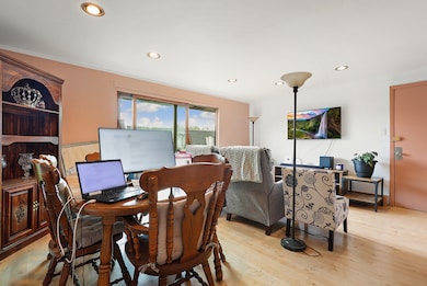 11133 S 84th Ave unit 3A, Palos Hills, IL 60465 - photo 3