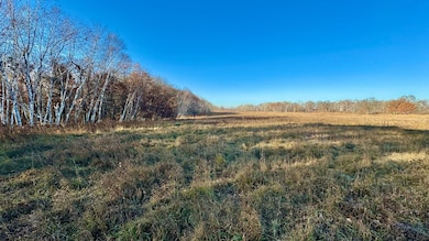 26XXX 175th Ave, Fort Ripley, MN 56449 - photo 6