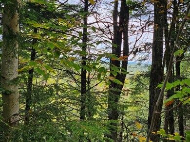 35 Off Averill Hill & Timberland Rd, Dixfield, ME 04224 - photo 2