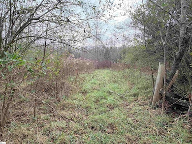 1943 Holiday Dam Rd, Belton, SC 29627 - photo 2