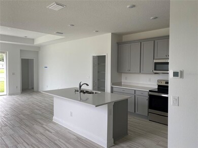 8512 Starlight Loop, Duette, FL 34219 - photo 2