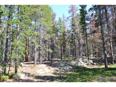 268 Elk Bugle Way, Bellvue, CO 80512 - photo 7