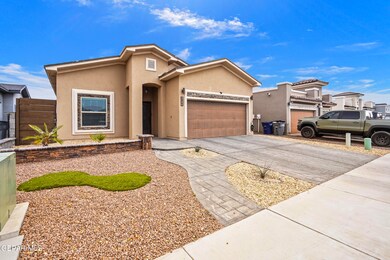 Landscaped Front Yard