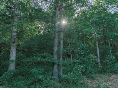 Mostly wooded