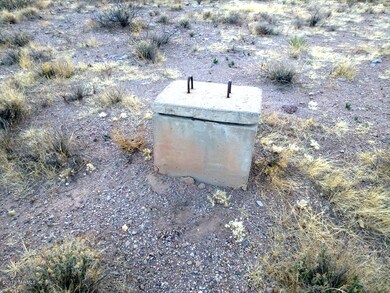 7.8 Acres S Acacia Ln, Portal, AZ 85632 - photo 7